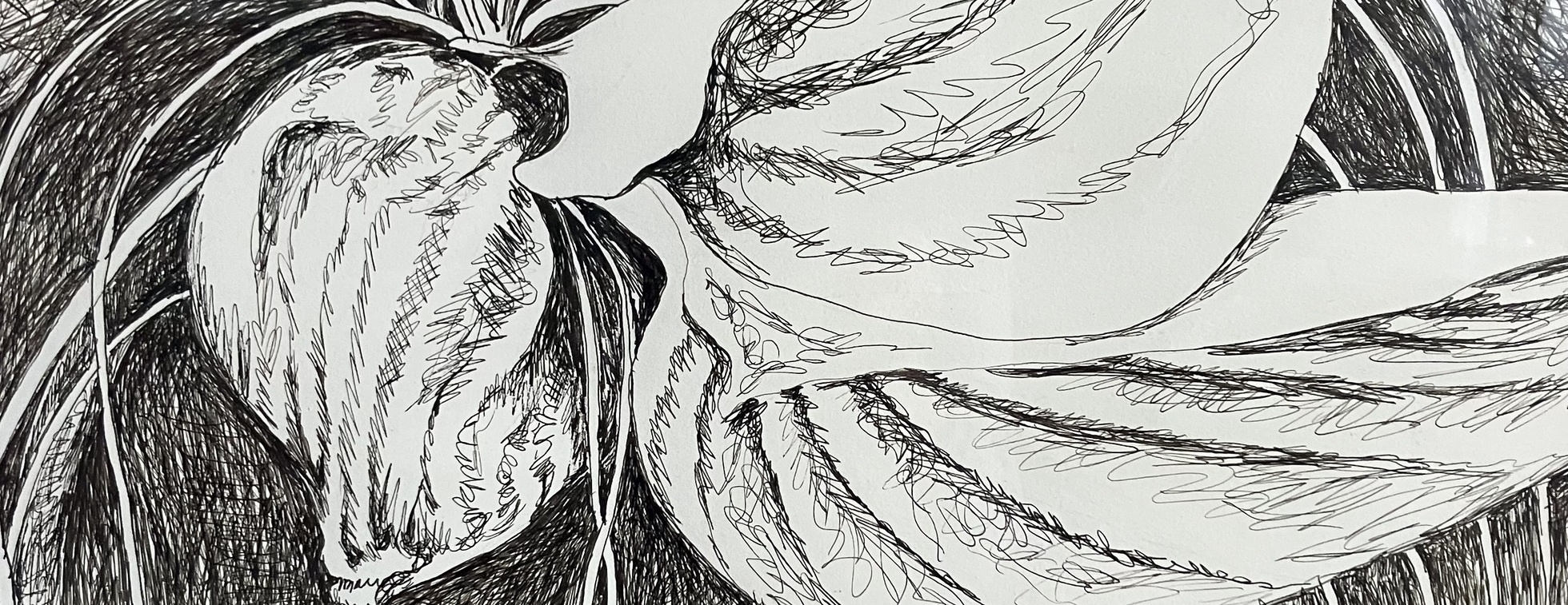 Drawing and Multi Media Series with Nofa Dixon August 2026